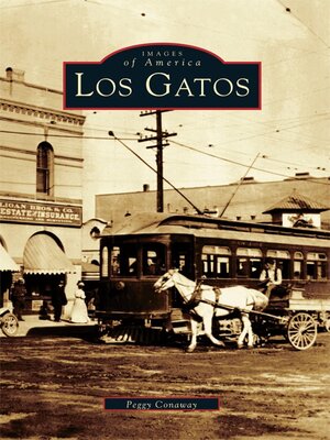 Los Gatos - ebook